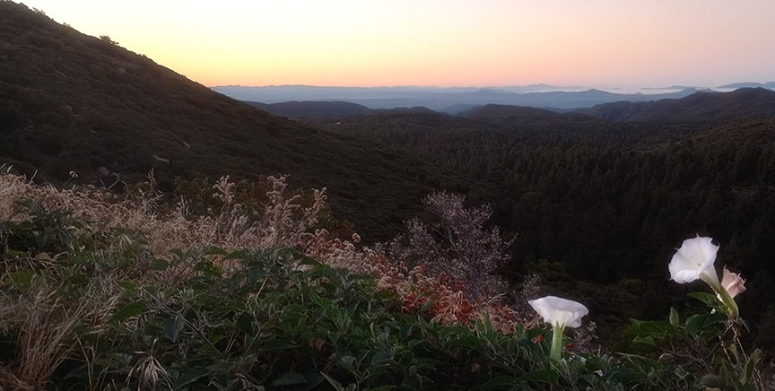 Cleveland National Forest