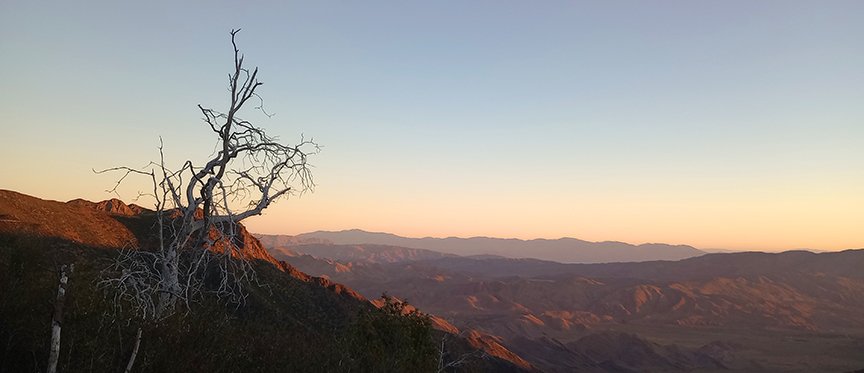 Cleveland National Forest
