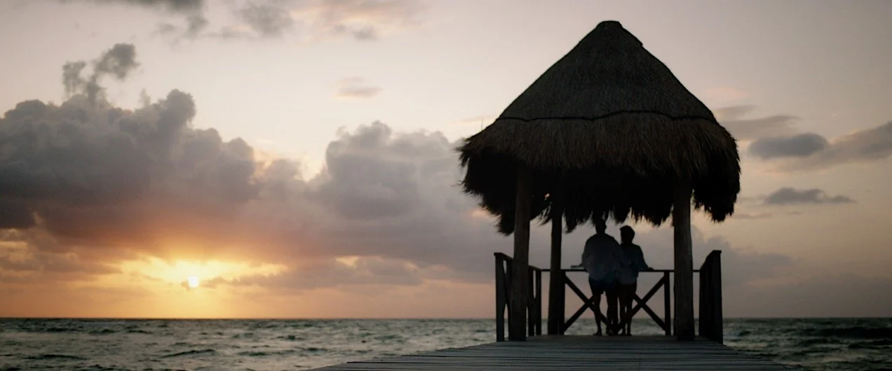 Vidanta Thumbnail.jpeg