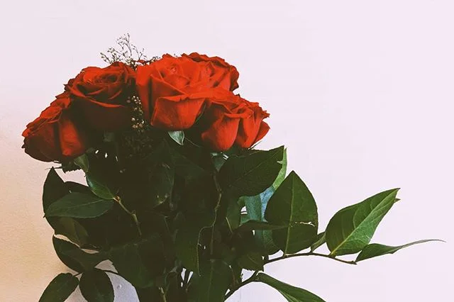 I like this crop
⠀⠀⠀⠀⠀⠀⠀⠀⠀
⠀⠀⠀⠀⠀⠀⠀⠀⠀
#photooftheday #roses #minneapolis #mpls #mplsphotographer #minneapolisphotographer #googlepixel2