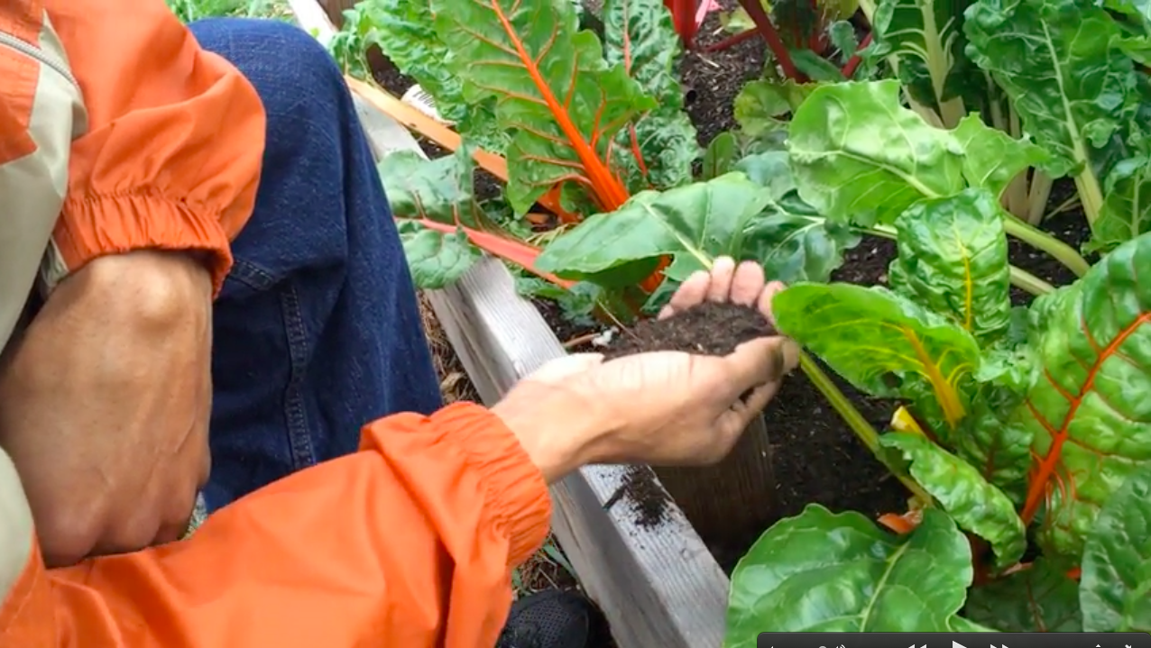 Pathways to Food Dignity: Narratives Documenting Local Efforts for More Sustainable Food Systems