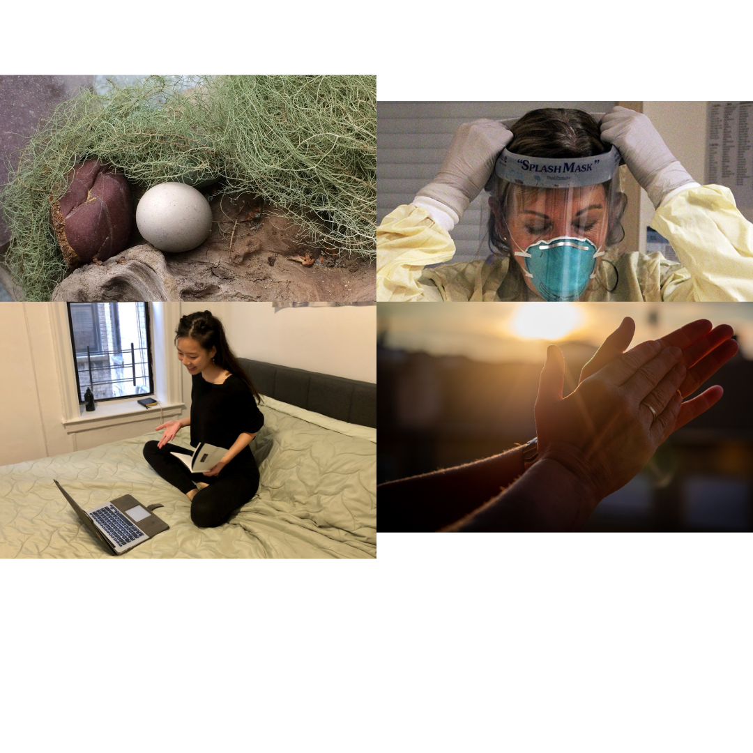 A Year in the Life of a Pandemic: Storytelling Showcase