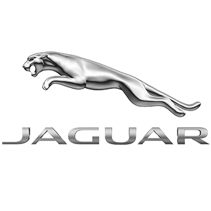 Camisasca Jaguar Logo