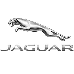 Camisasca Jaguar Logo