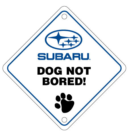 Camisasca Subaru Dog Not Bored Window Placard