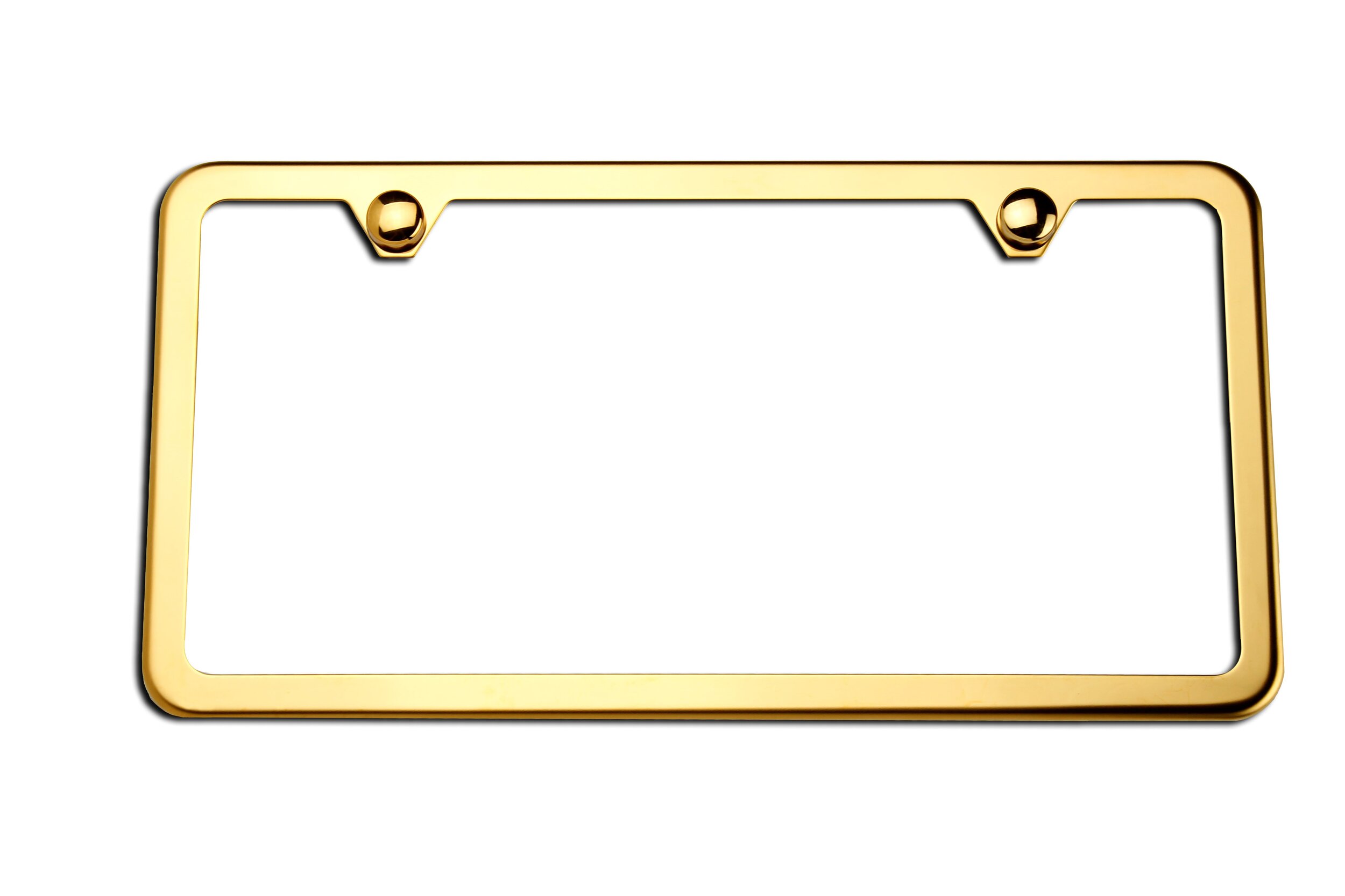 Camisasca Gold Polished Slimline 2-Hole 1.JPG