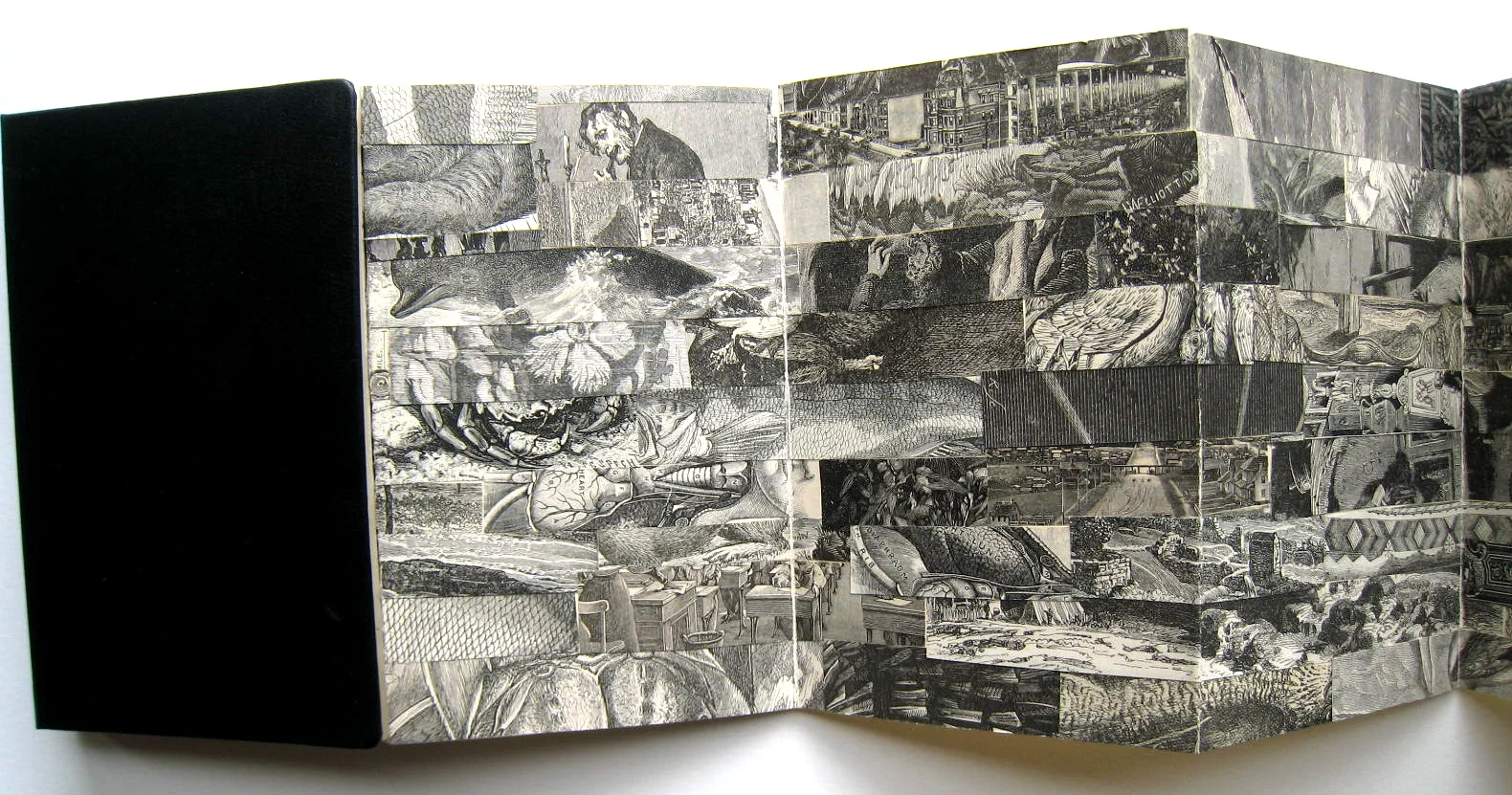 detail - small accordion collage book - 2007 closed 5½ x 3½ open 5½” x 8 feet