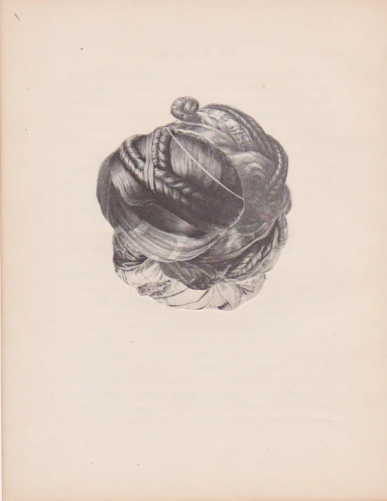 untitled (hair) 2013 9½ x 7