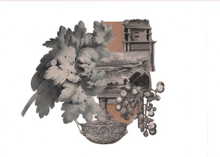 O'Leary_Catie_acanthus with grapes  copy.jpg