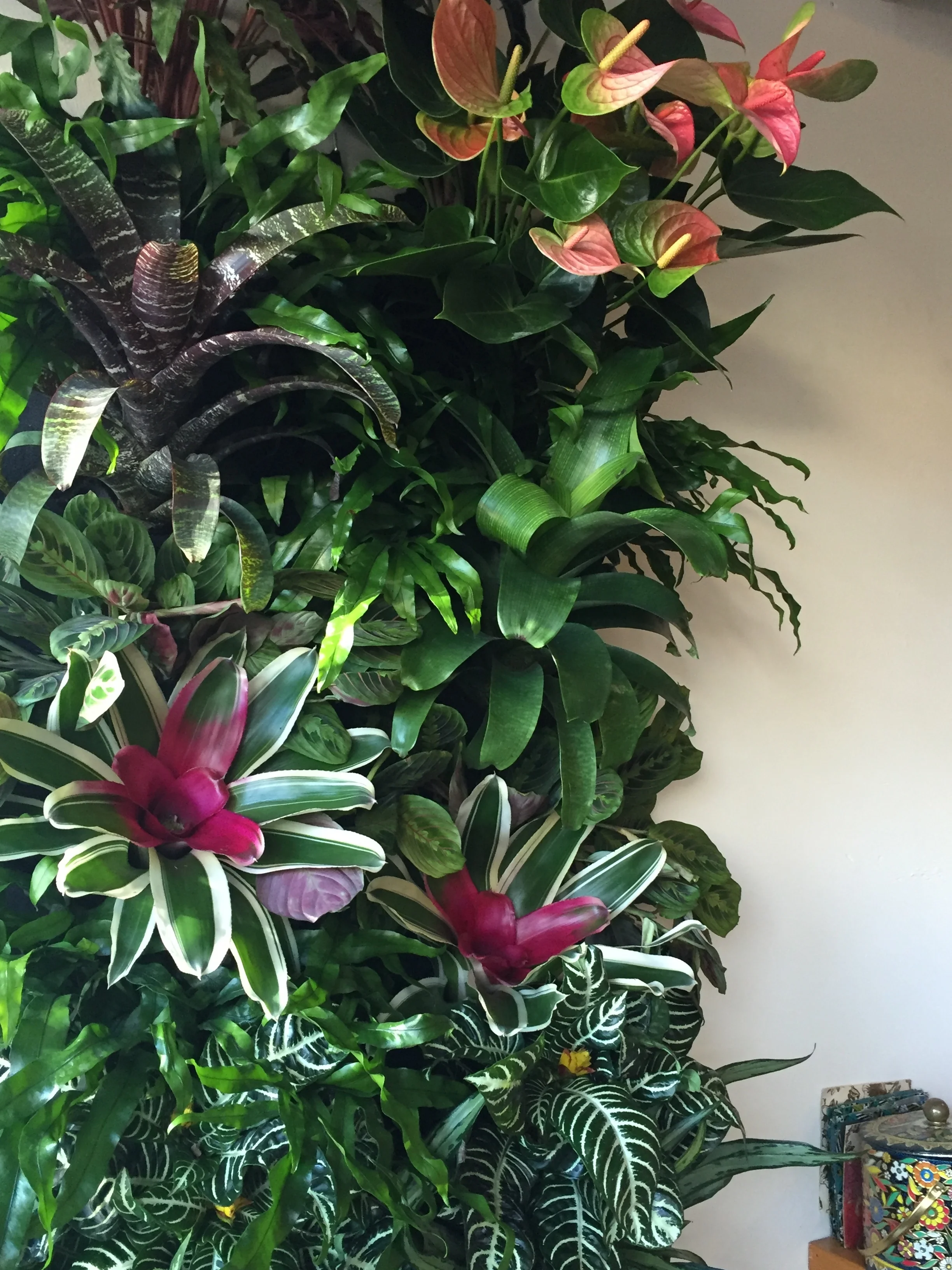 vegan restaurant living wall