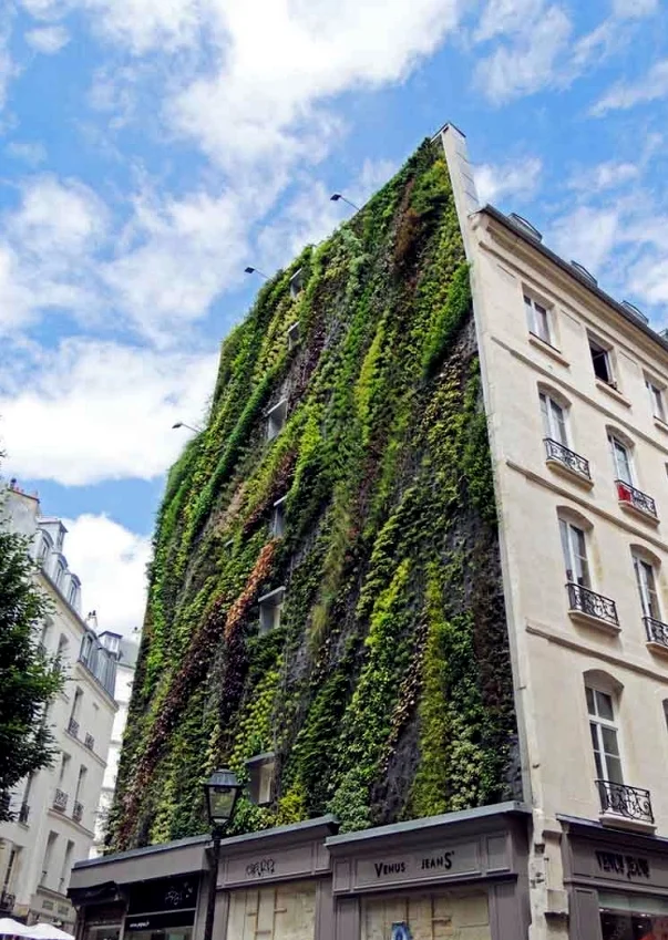 L'Oasis d'Aboukir, Paris