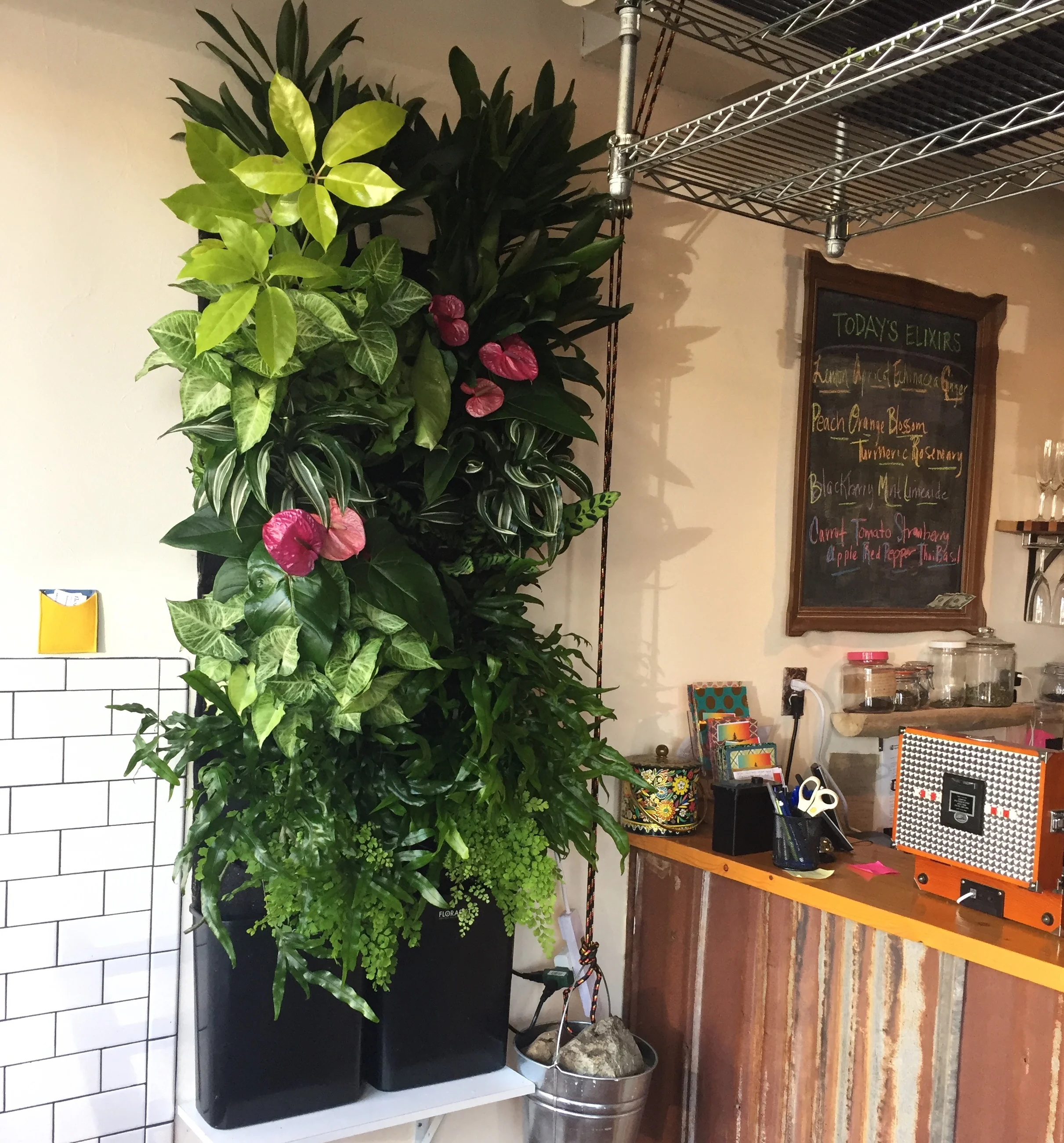 vegan restaurant