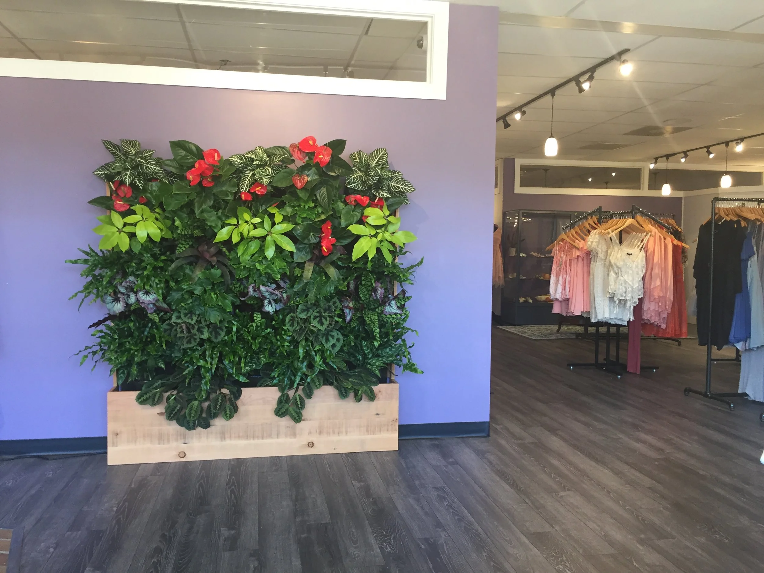 Retail boutique living wall, Bothell, WA