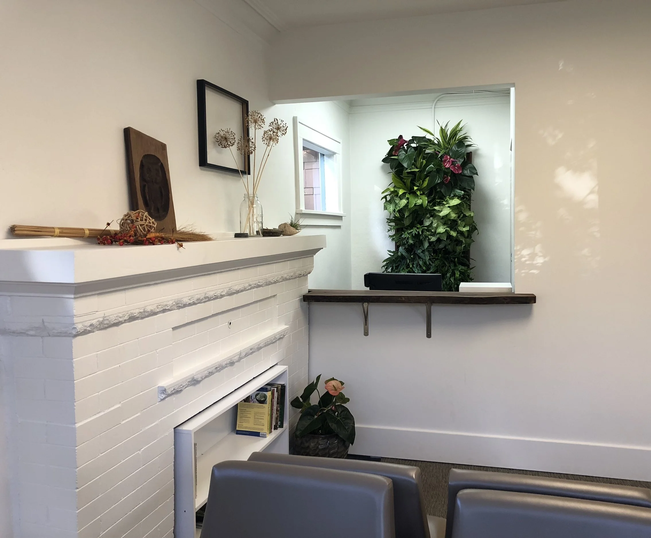 Doctor's office reception living wall 