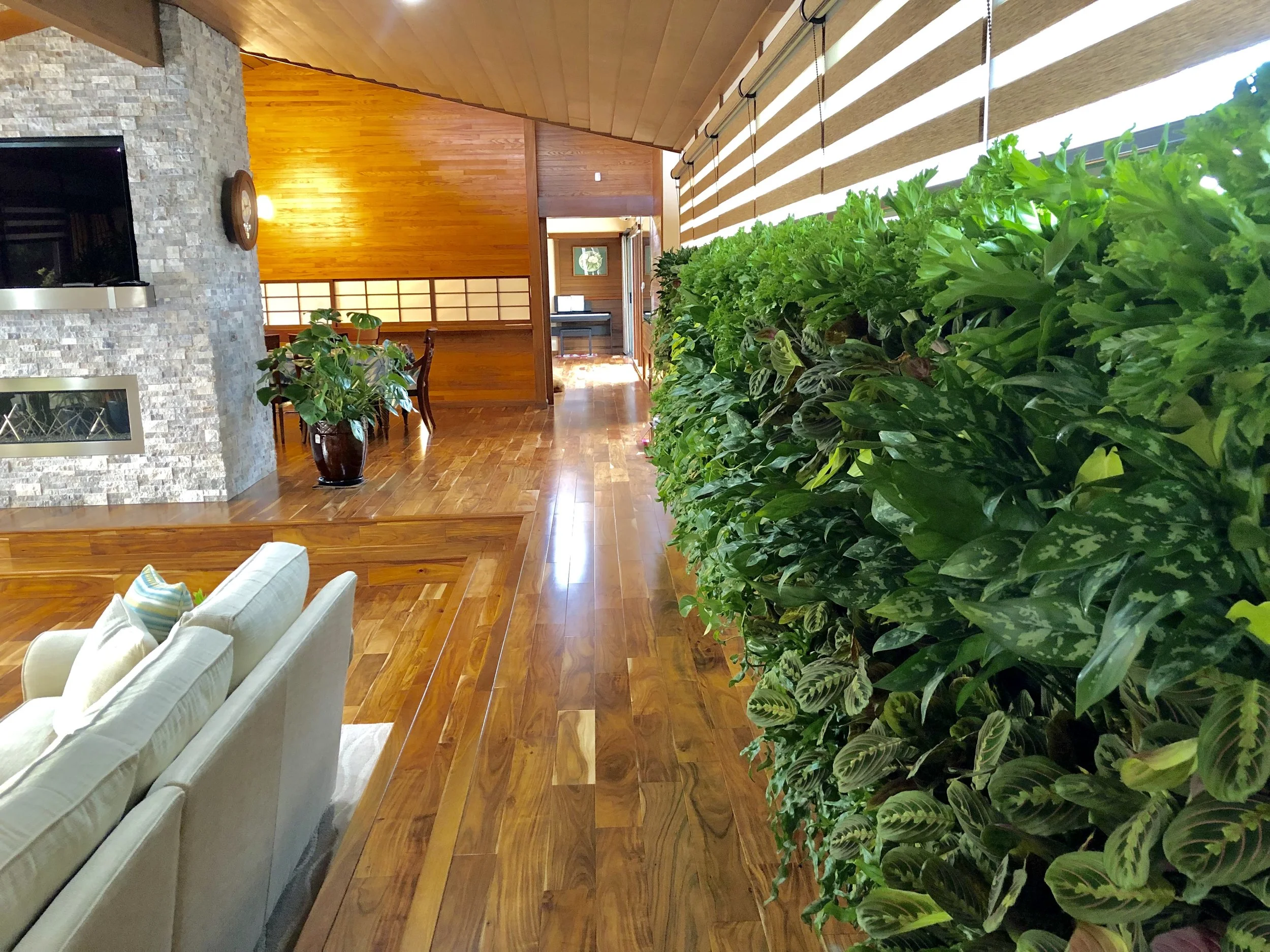 Mid-century home gets a modern garden!
