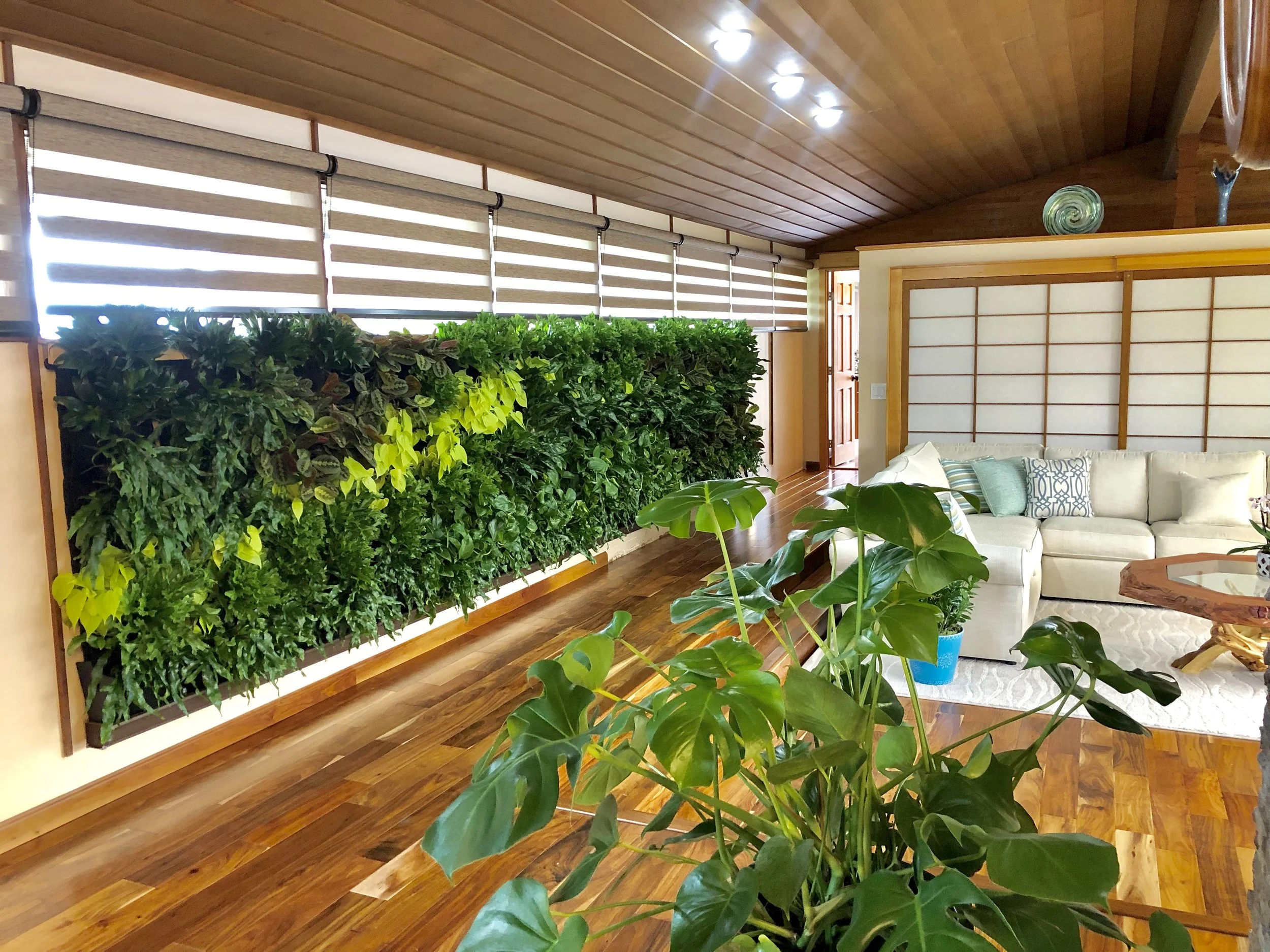 Mid-century home with modern garden