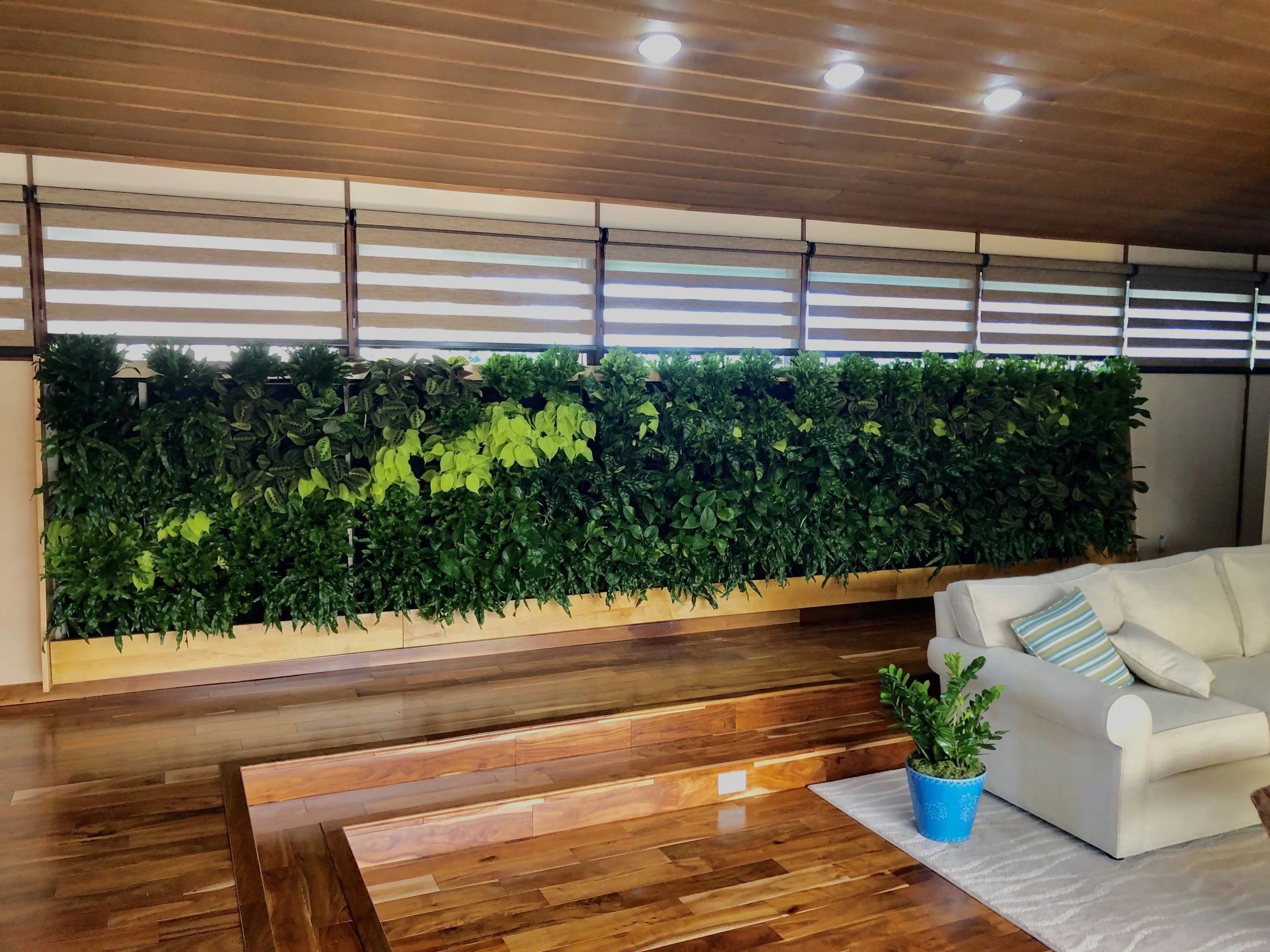 Mid-century home, modern garden.