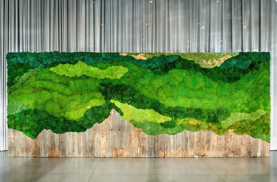Floraform Design Rental Moss Wall 5 panels.jpeg