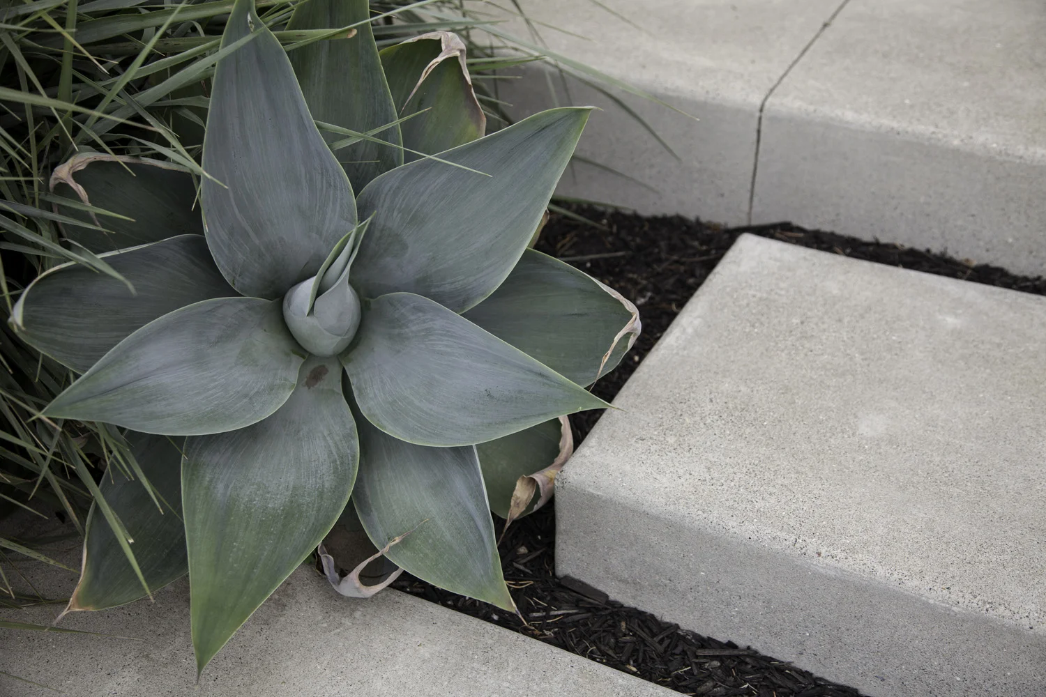Design by Jeffrey Gordon Smith | Concrete Work by O’Shea Construction