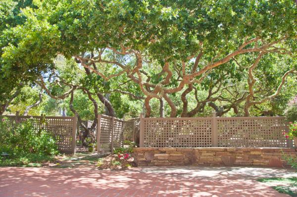 a_forested_estate_ecotones_landscapes_02.jpeg
