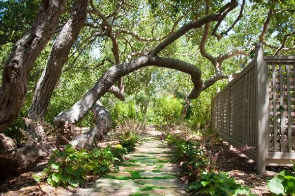a_forested_estate_ecotones_landscapes_03.jpeg
