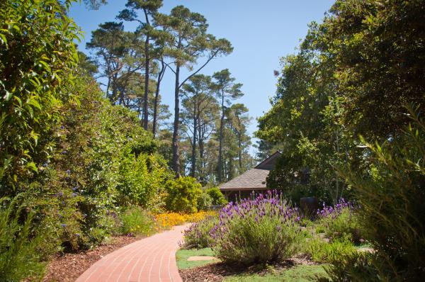 a_forested_estate_ecotones_landscapes_07jpeg.jpeg