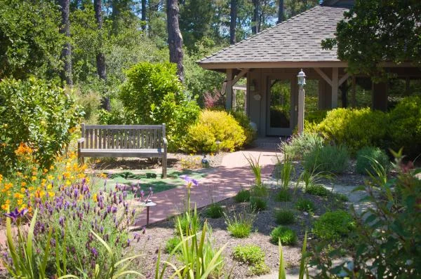 a_forested_estate_ecotones_landscapes_09.jpeg