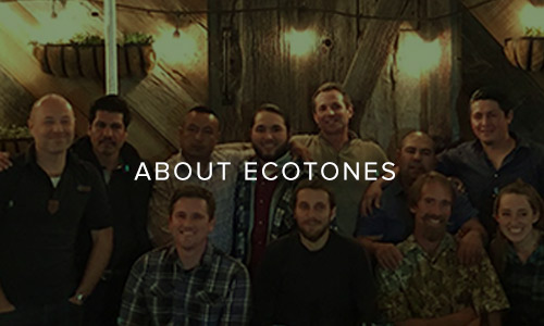 site-ecotones-about.jpg