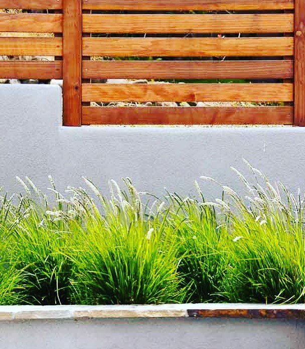 Starting at the bottom, a clean cap of natural stone followed by Sesleria &lsquo;Greenlee&rsquo;s Hybrid&rsquo; contrasting with the mellow texture of a retaining wall and the warmth of stained clear redwood fencing. Combined you&rsquo;ve got a moder