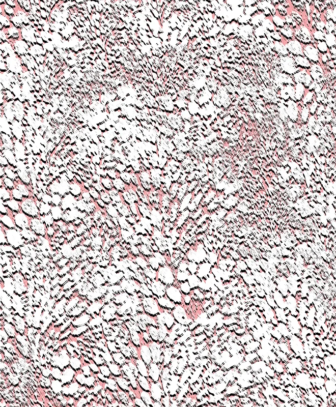 MELANIE MOON X FOLIO_2018_38.jpg