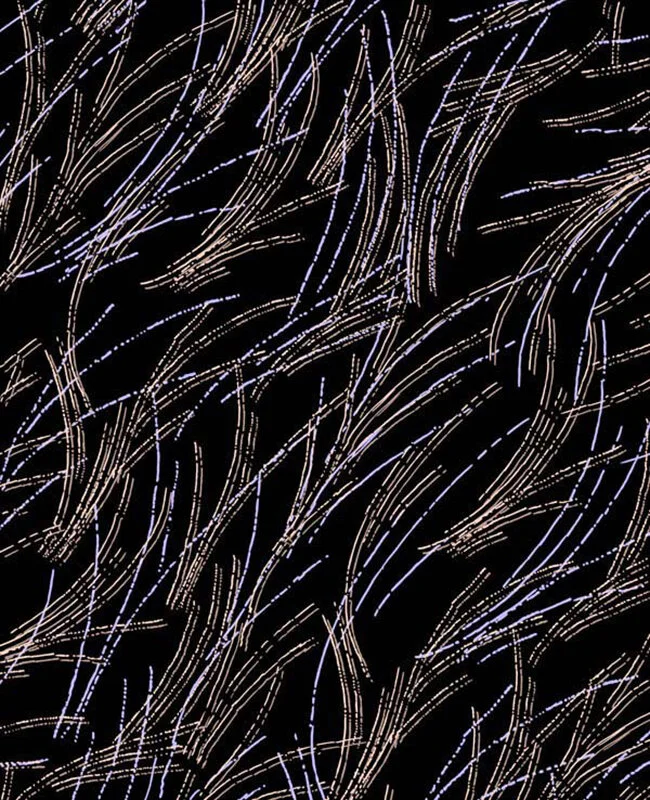 MELANIE MOON FOLIO 2020_57.jpg