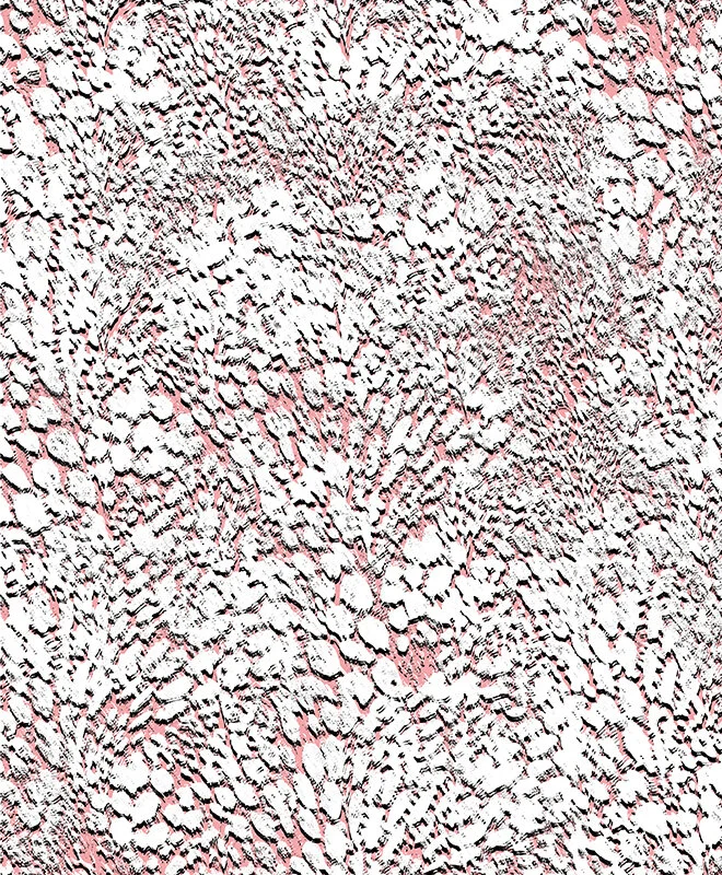 MELANIE MOON FOLIO 2020_13.jpg