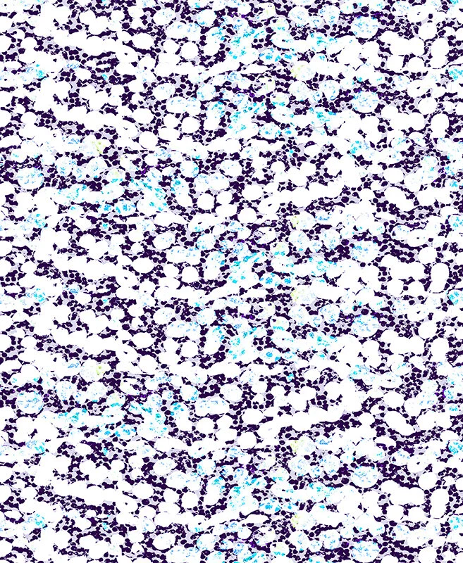 MELANIE MOON FOLIO 2020_17.jpg