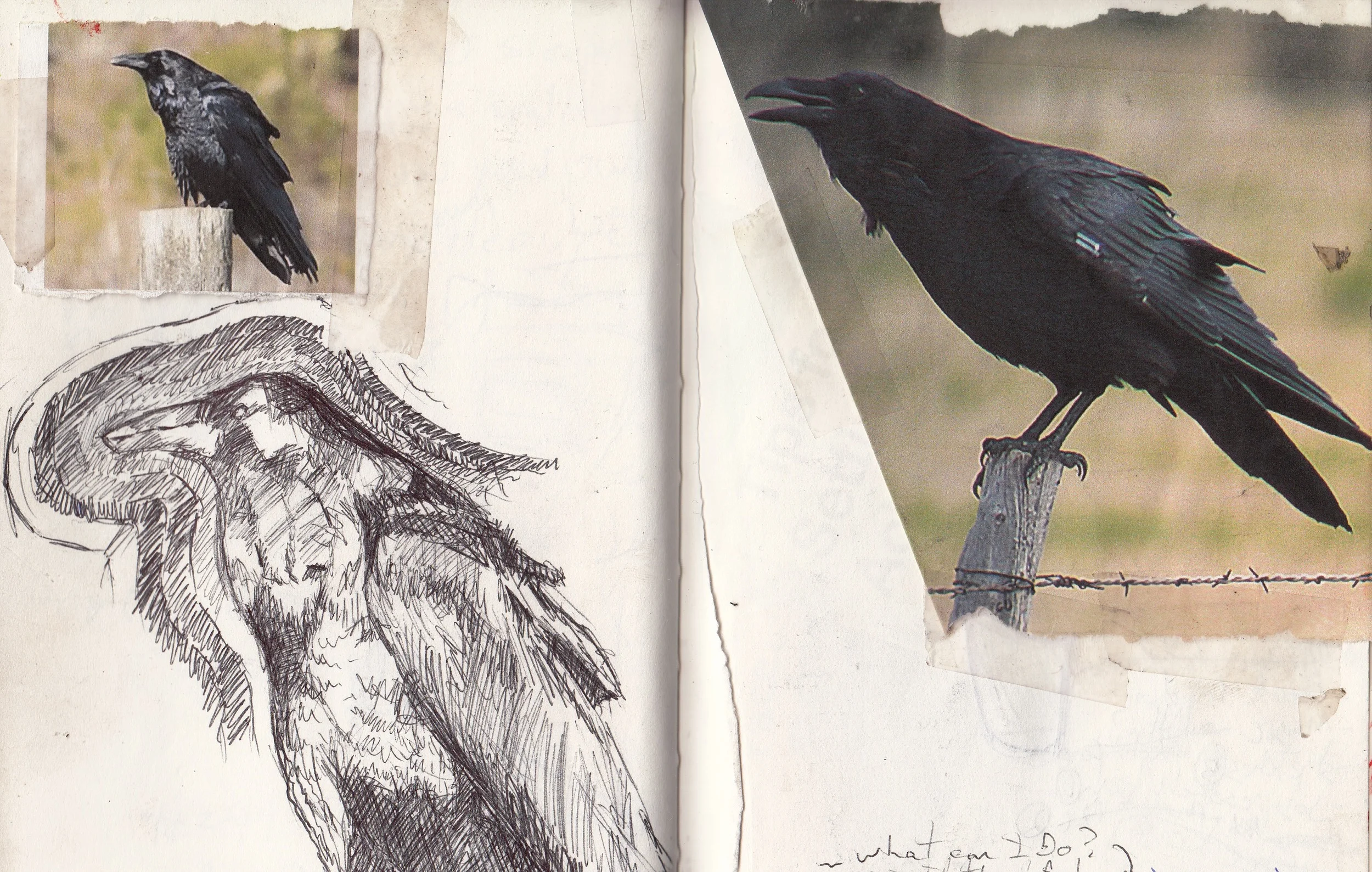 vol2sketches_0008.jpg