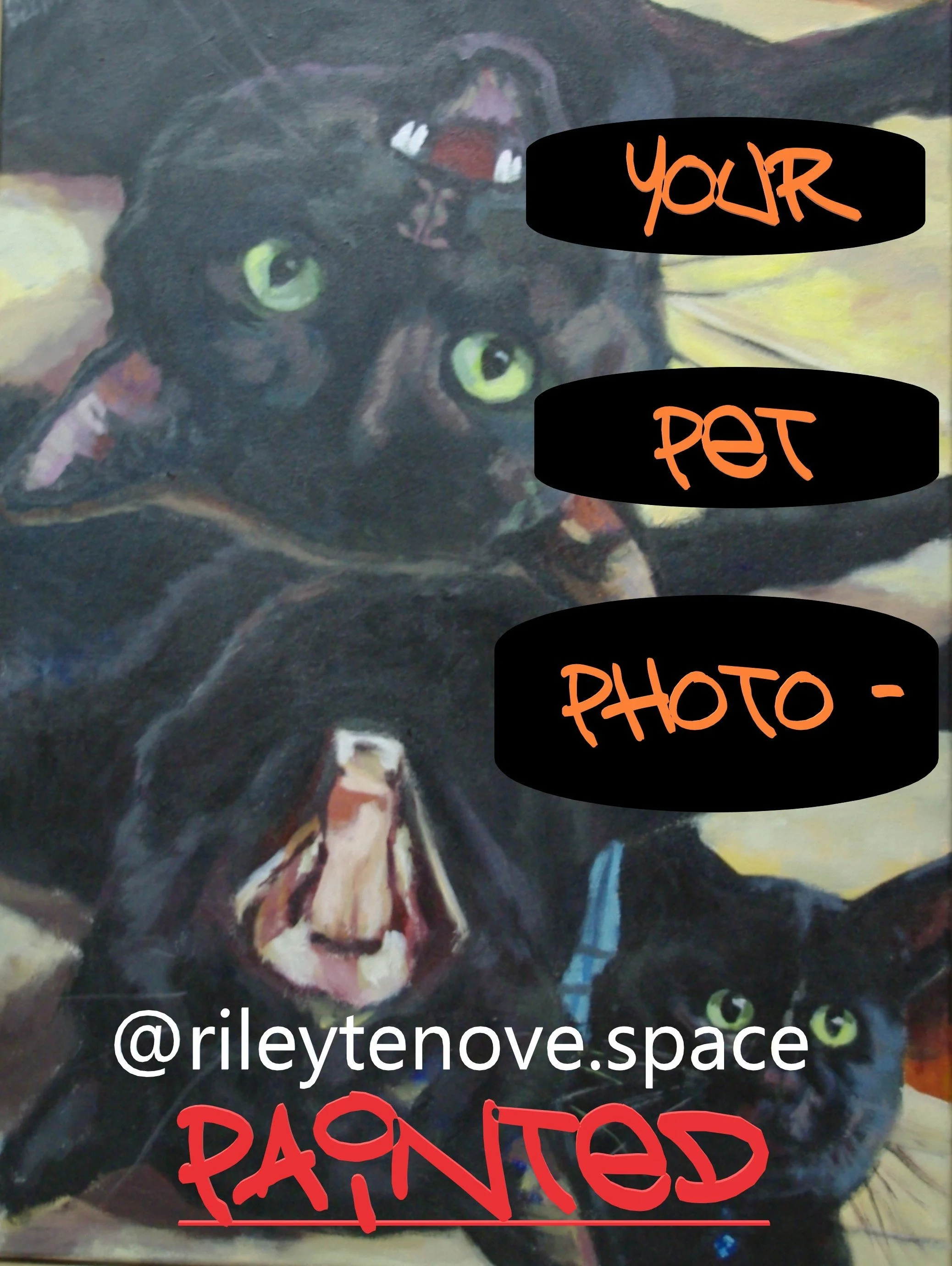TRIP CAT_PROMO AND WEB.jpg