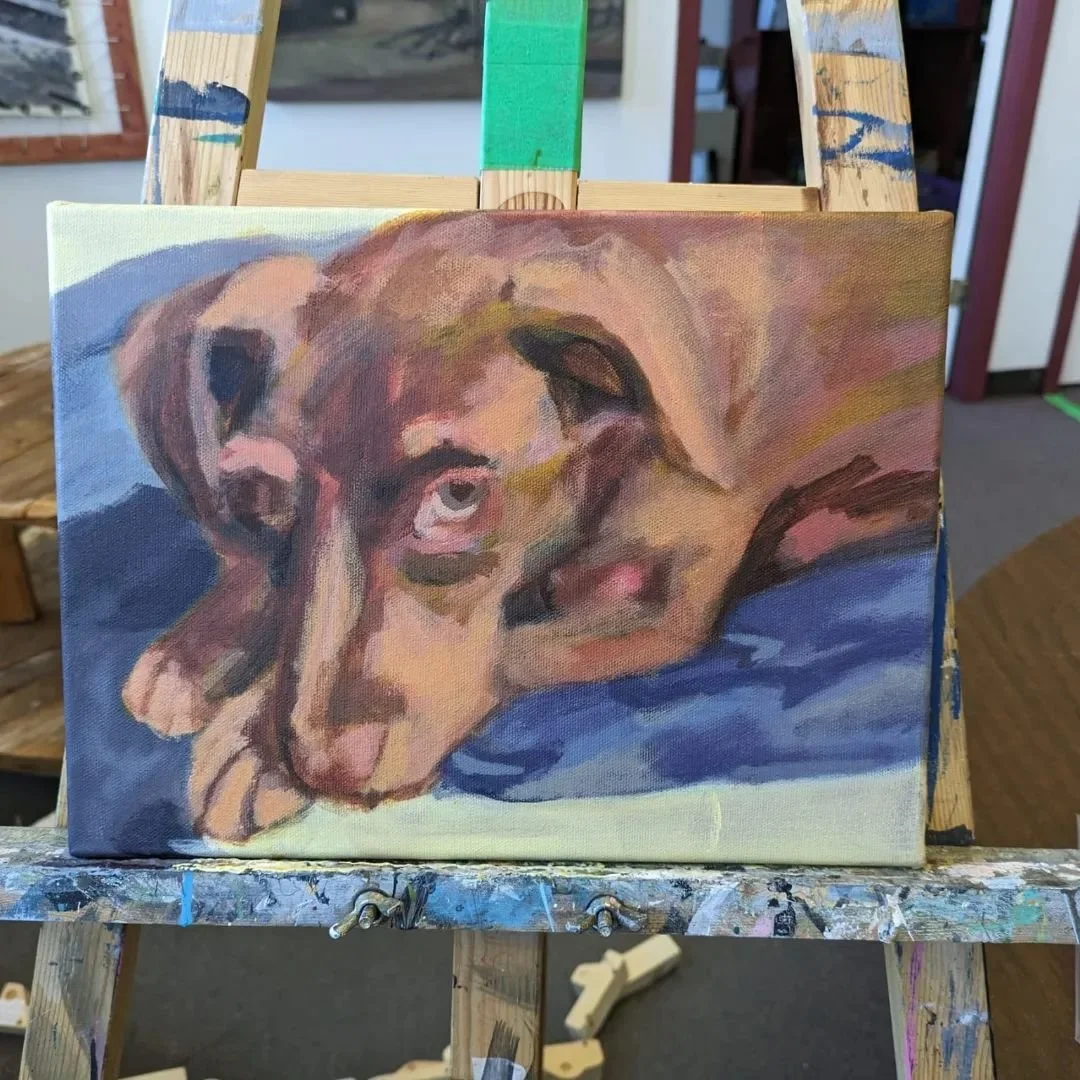 Pet portrait workshop_megan+Molly_06.jpg