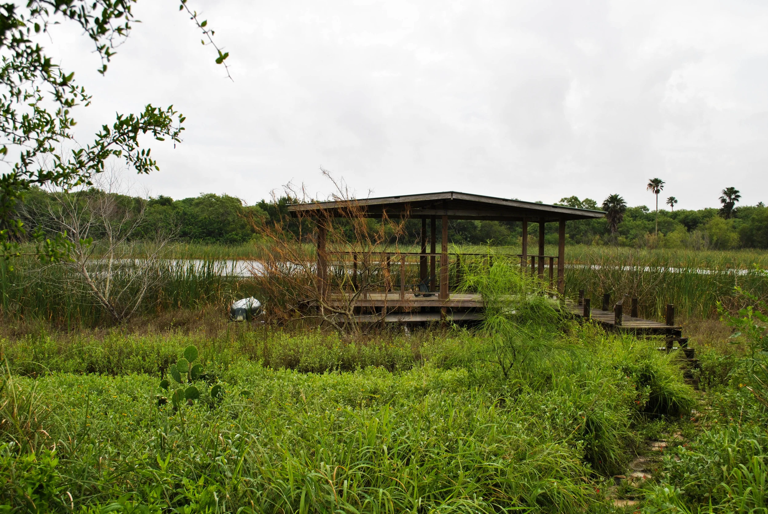 DSC_1373-18.jpg