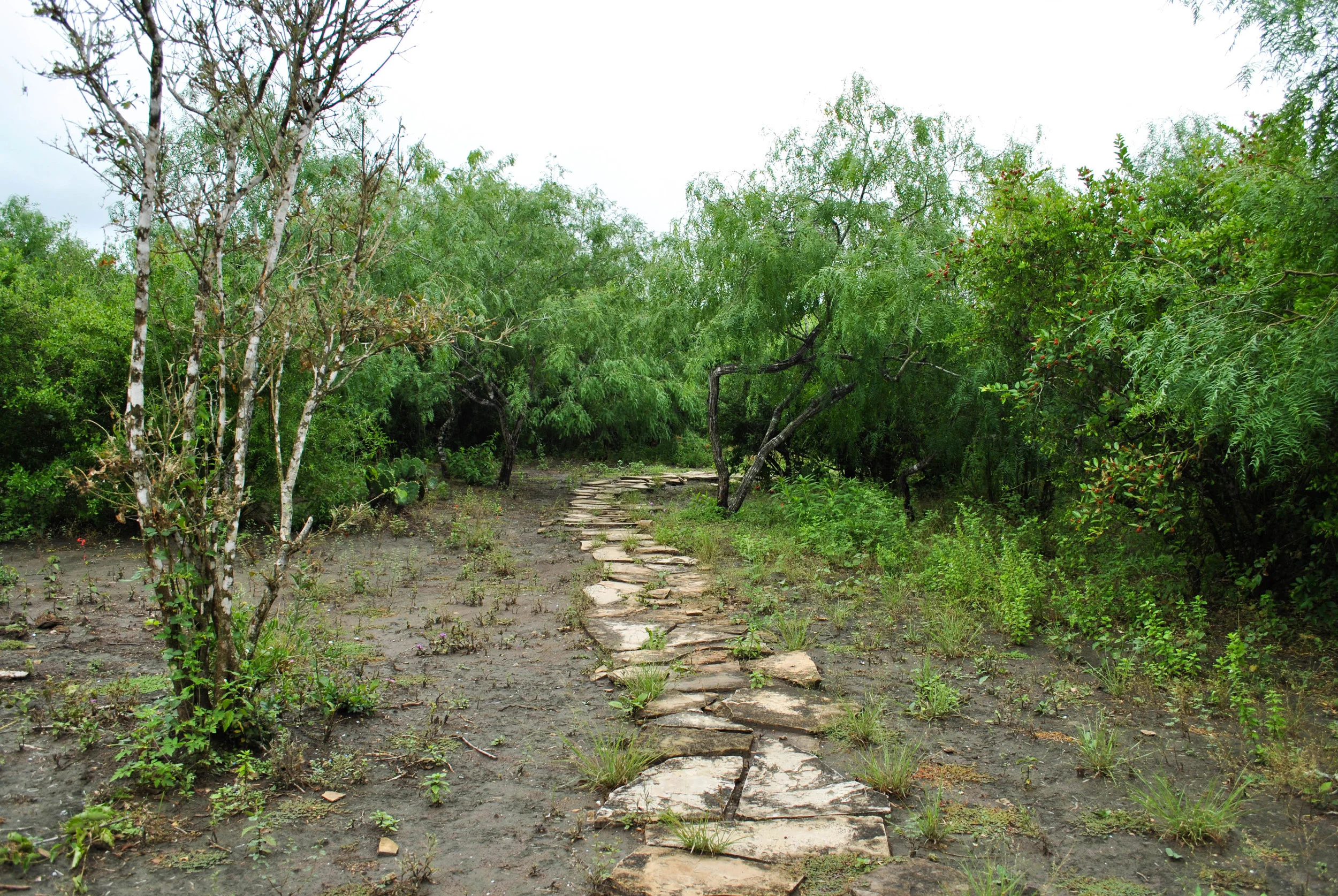 DSC_1372-17.jpg