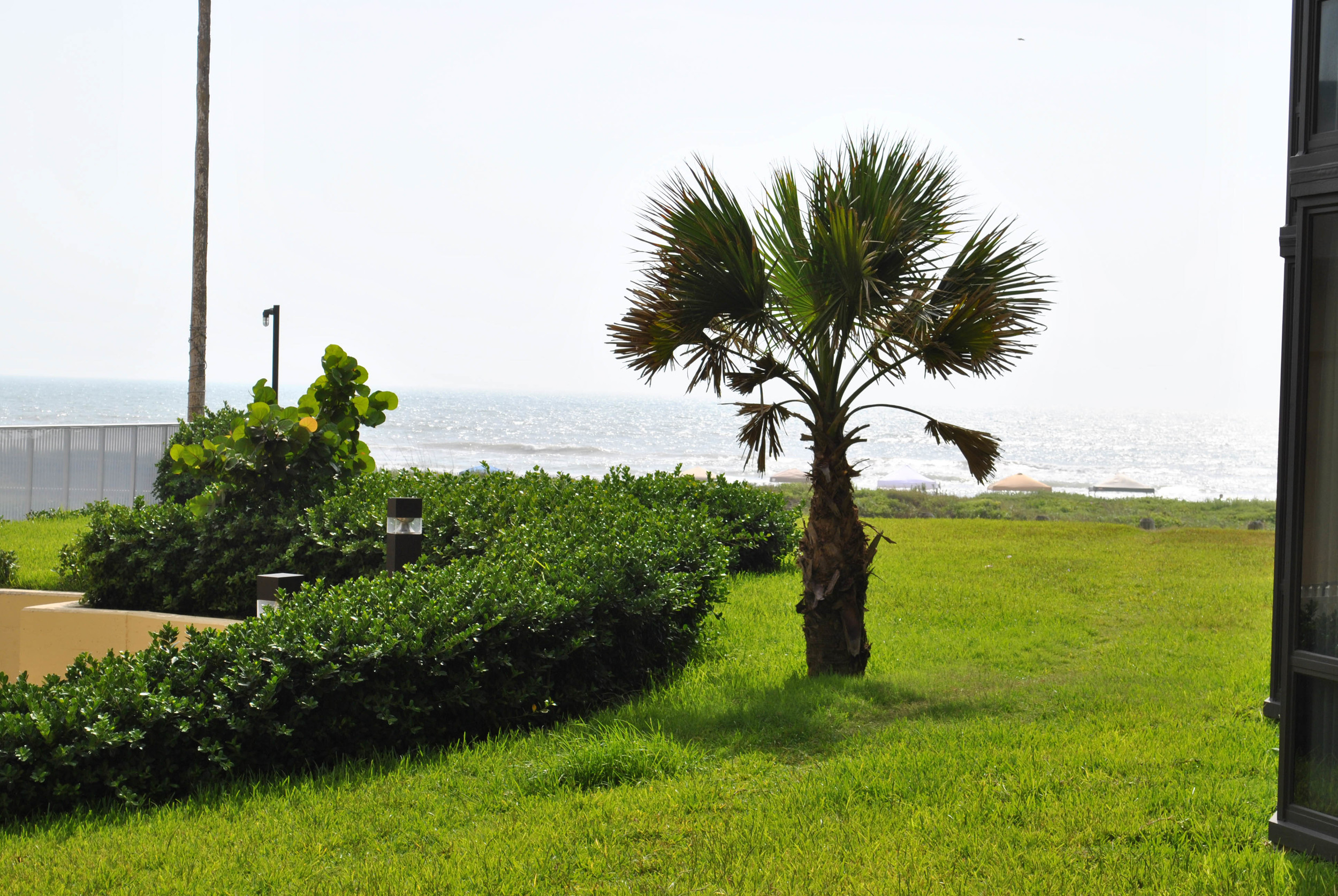 DSC_0182.jpg