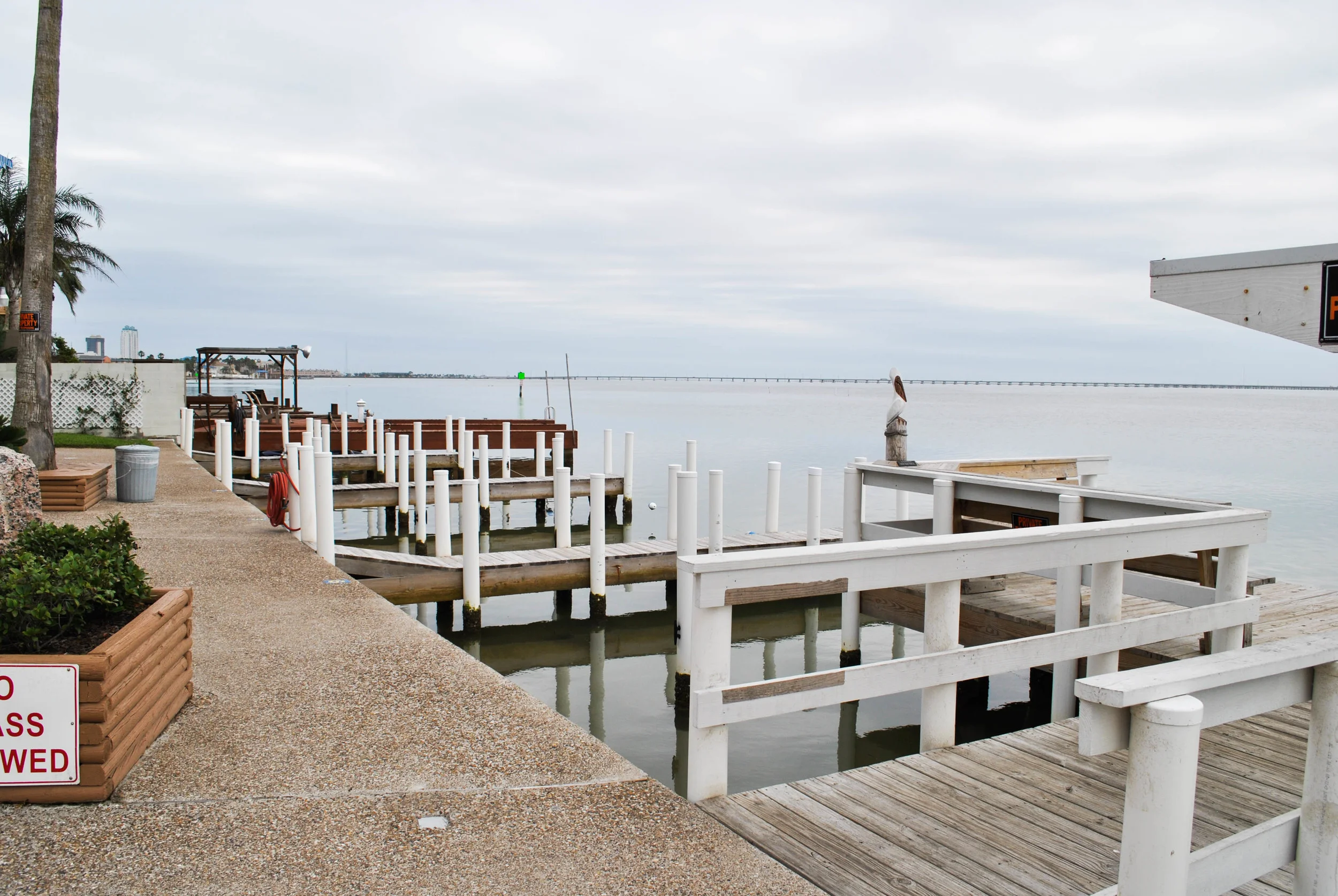DSC_0481.jpg