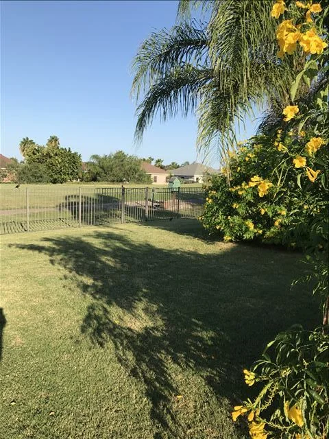 Backyard 4.JPG