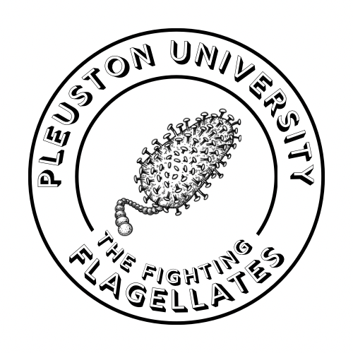 3B306096-BEA2-4591-904A-F581BDF5E7FE.PNG