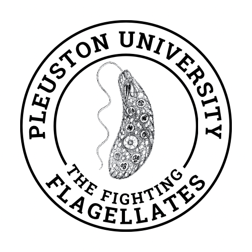 8FCCF89A-2824-44E4-8C37-09DD561879F6.PNG