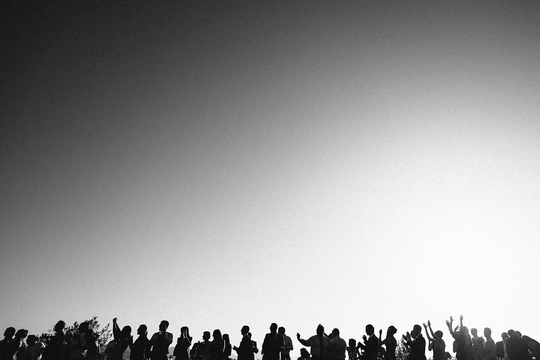 Sunset toast at a winery wedding reception in Sonoma, CA