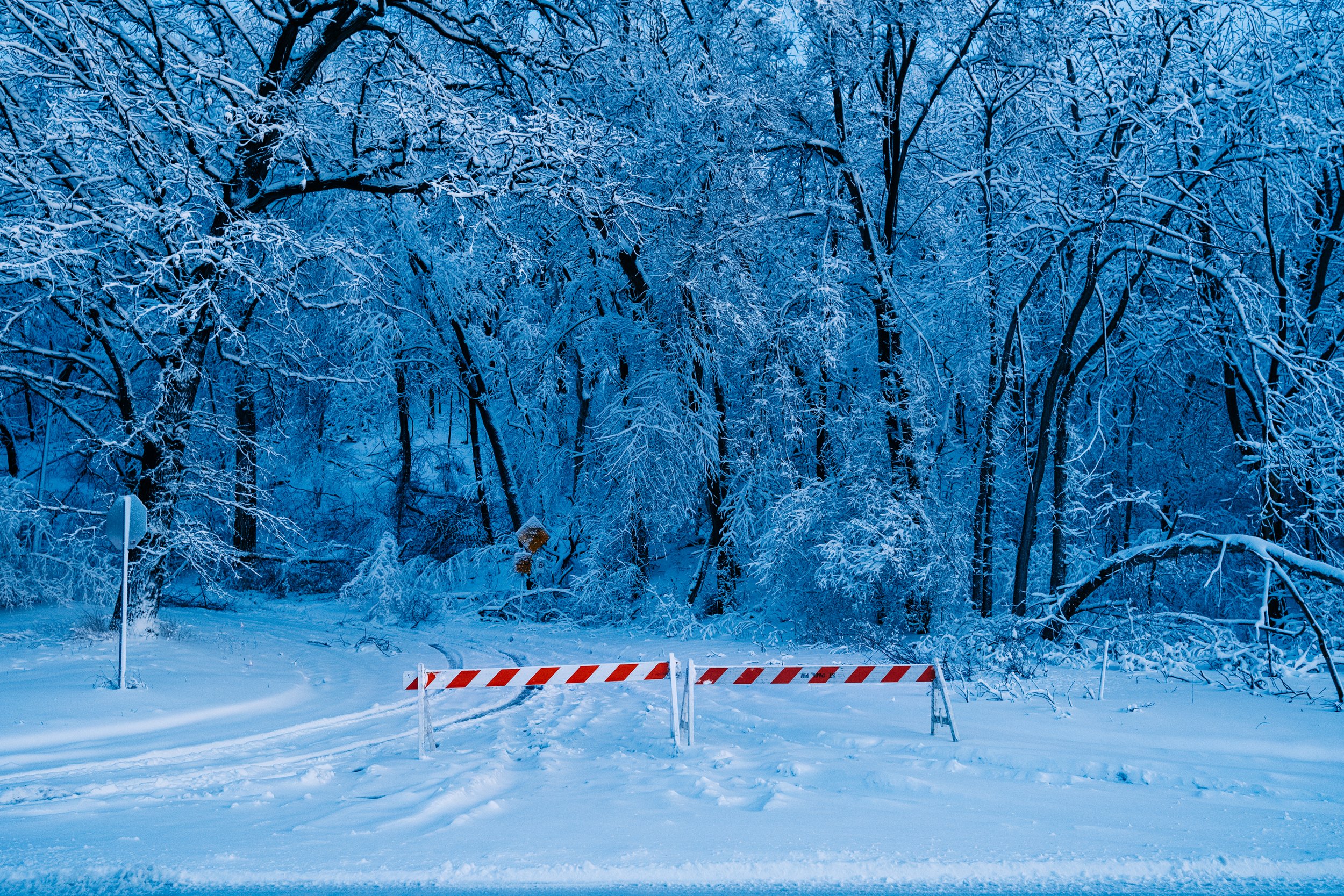 FUJIFILM_XT4_18f14WR_snelling and 7th-0681.jpg
