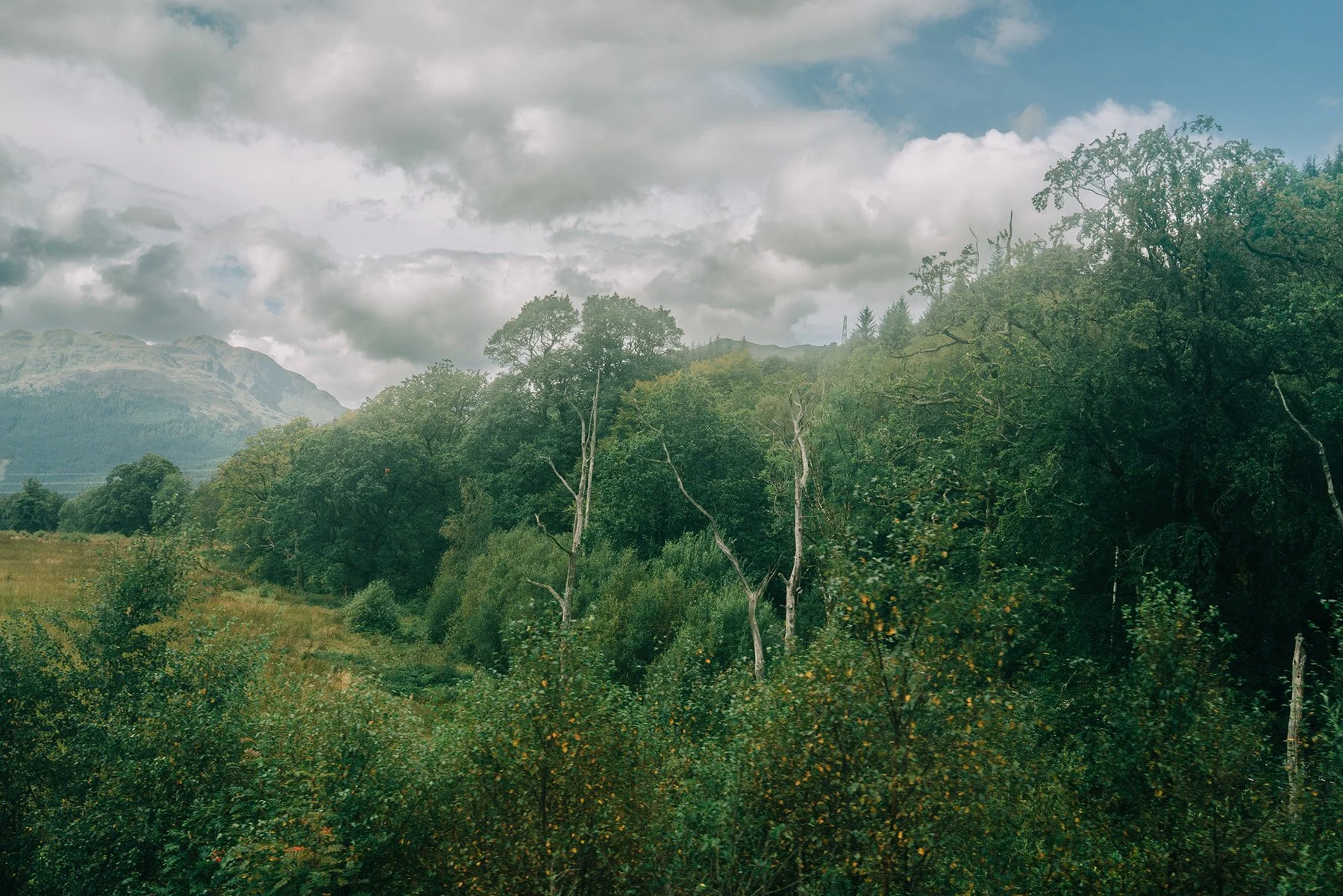 026_SONY_A7RIII_24GM_scotland-07875.jpg