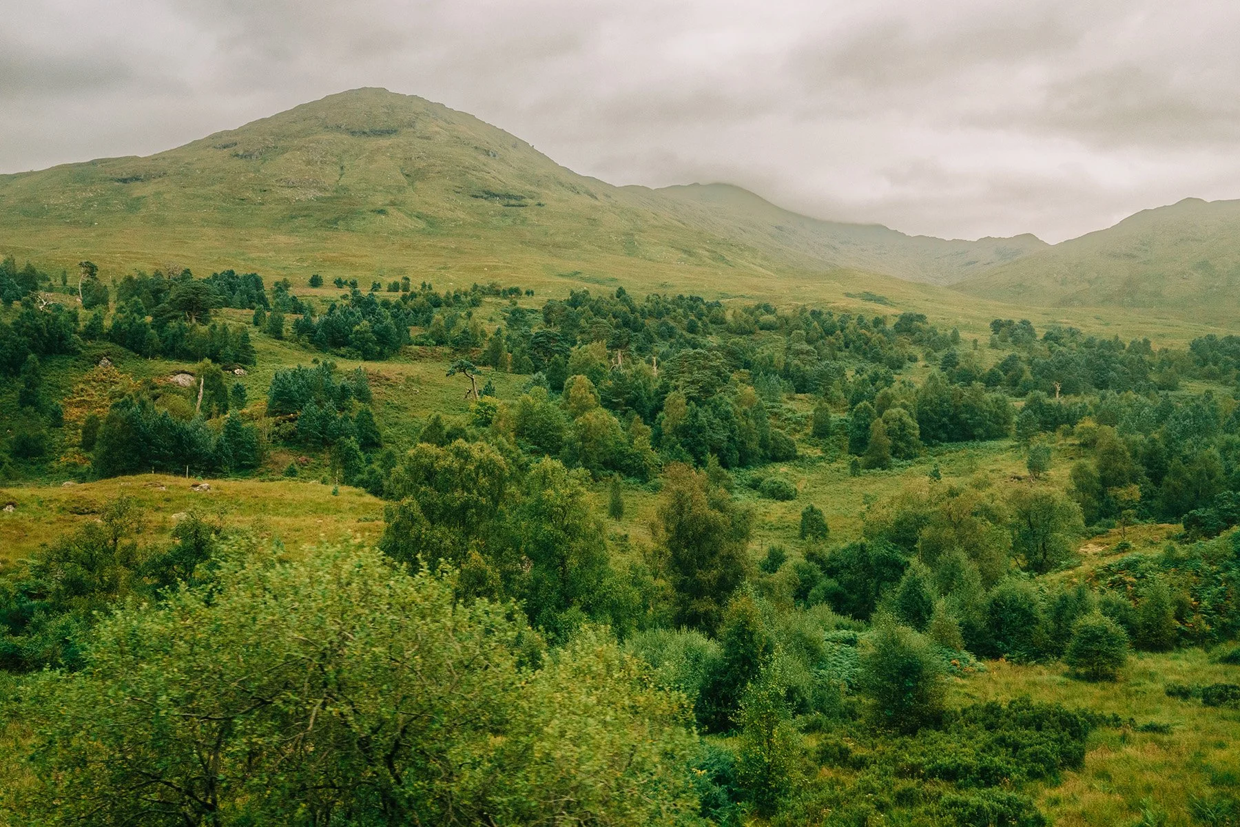029_SONY_A7RIII_24GM_scotland-07900.jpg