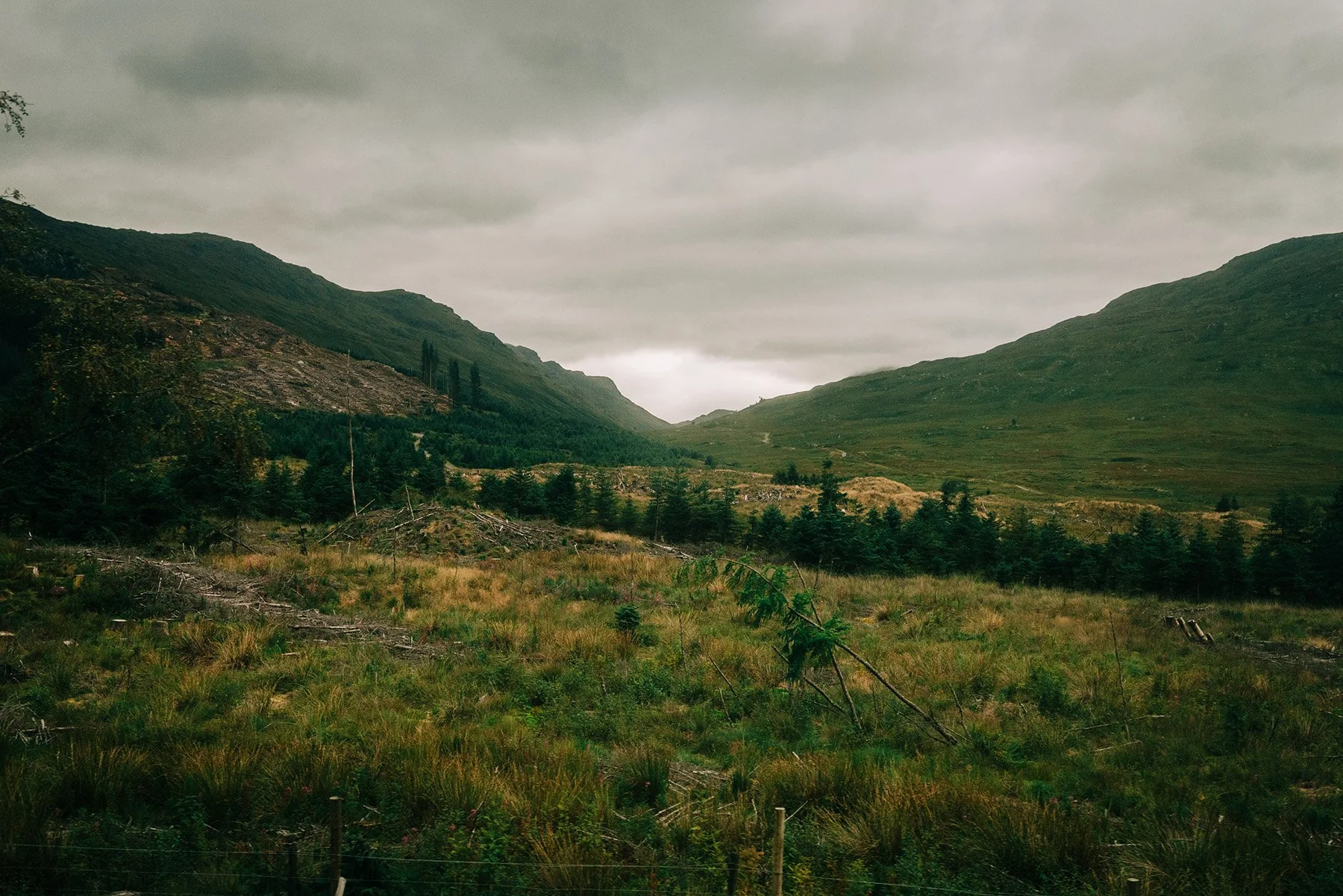 030_SONY_A7RIII_24GM_scotland-07904.jpg