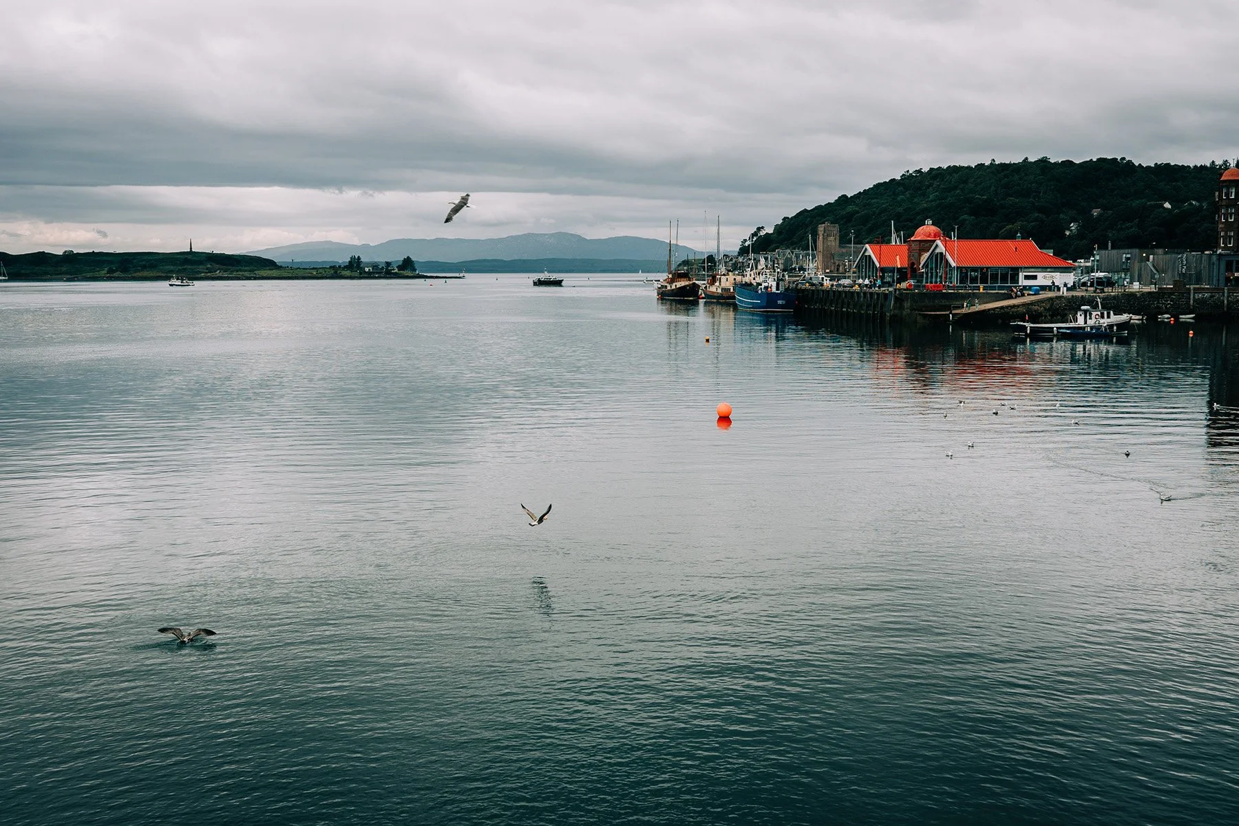035_SONY_A7RIII_24GM_scotland-07932.jpg