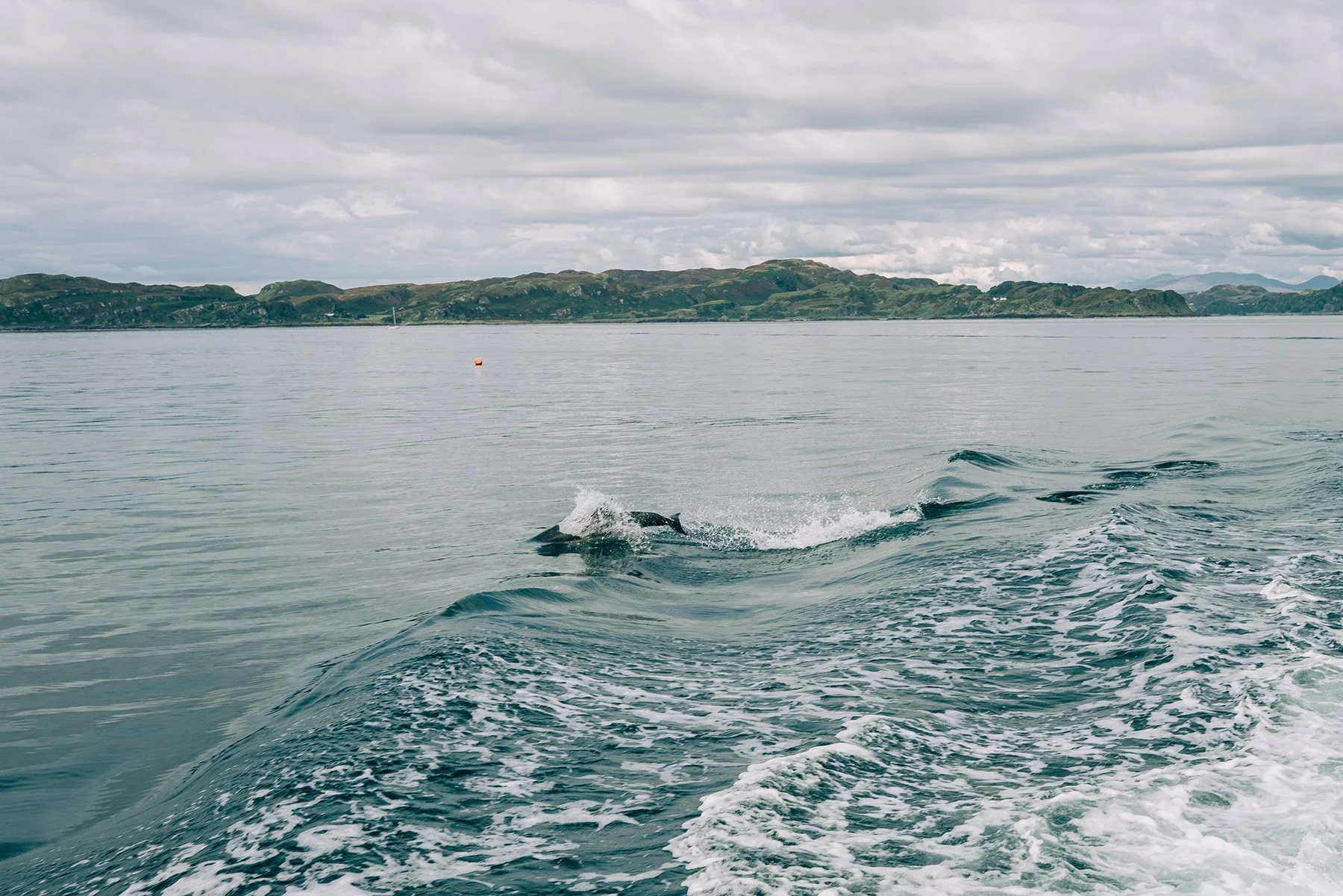 059_SONY_A7RIII_24GM_scotland-08050.jpg